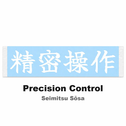 Precision Control Japanese Kanji JDM Vinyl Decal Sticker - Image 2