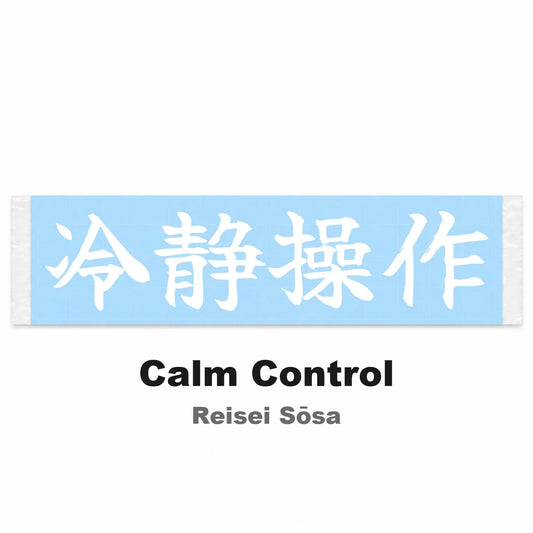 Calm Control Japanese Kanji JDM Vinyl Decal Sticker - Image 2