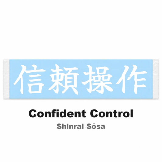 Confident Control Japanese Kanji JDM Vinyl Decal Sticker - Image 2