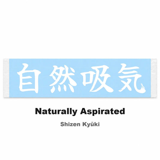 Naturally Aspirated Japanese Kanji JDM Vinyl Decal Sticker - Image 2