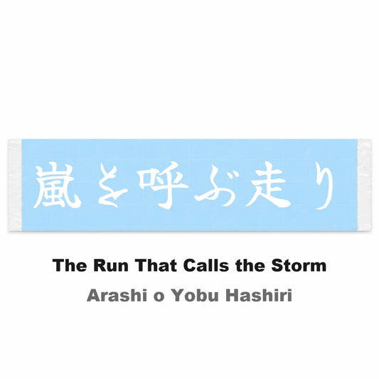The Run That Calls the Storm Japanese Kanji JDM Vinyl Decal Sticker - Image 2