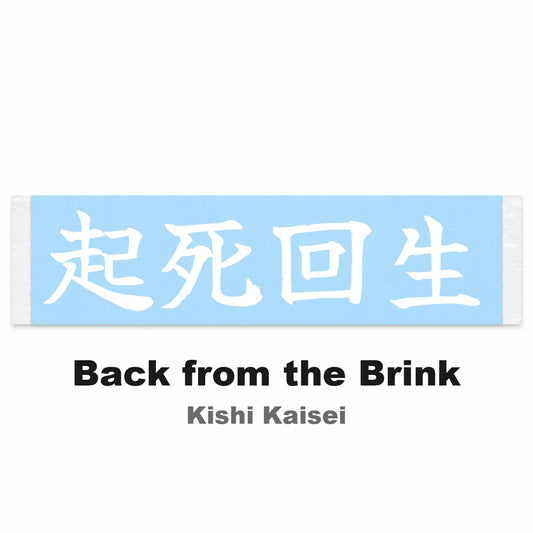 Back From the Brink Japanese Kanji JDM Vinyl Decal Sticker - Image 2