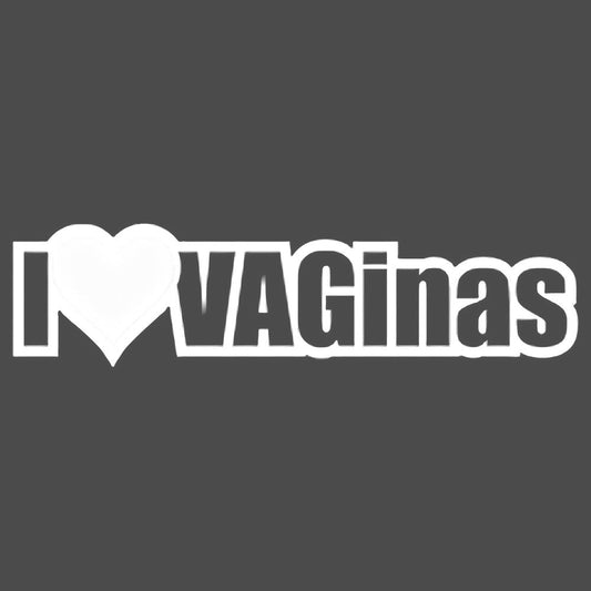 JDM I Love VAGinas Vinyl Decal Sticker