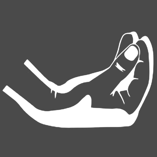 JDM Italian Sign - WHAT? Vinyl Decal Sticker