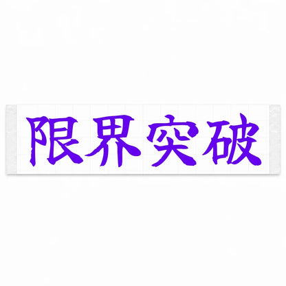 Break the Limits Japanese Kanji JDM Vinyl Decal Sticker - Purple Color