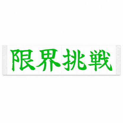 Challenge the Limit Japanese Kanji JDM Vinyl Decal Sticker - Green Color
