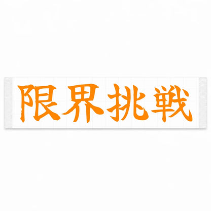Challenge the Limit Japanese Kanji JDM Vinyl Decal Sticker - Orange Color