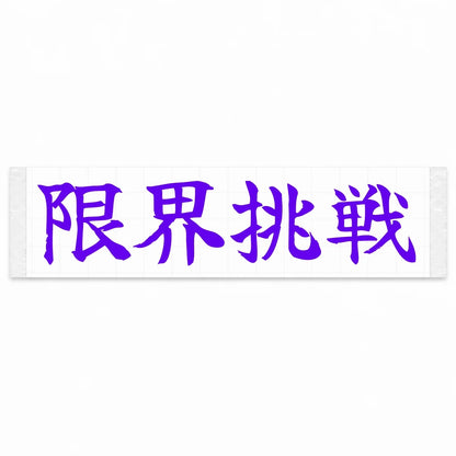 Challenge the Limit Japanese Kanji JDM Vinyl Decal Sticker - Purple Color