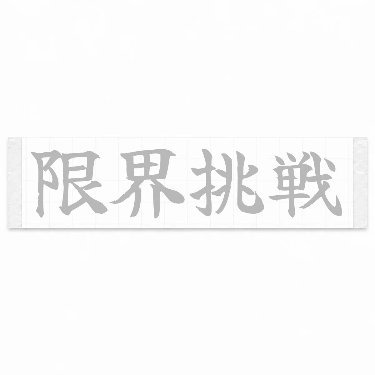 Challenge the Limit Japanese Kanji JDM Vinyl Decal Sticker - Silver Color
