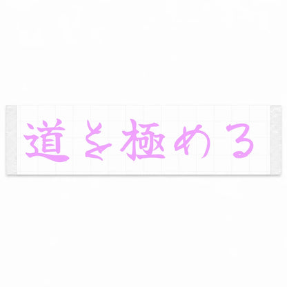 Master the Road Japanese Kanji JDM Vinyl Decal Sticker - Pink Color