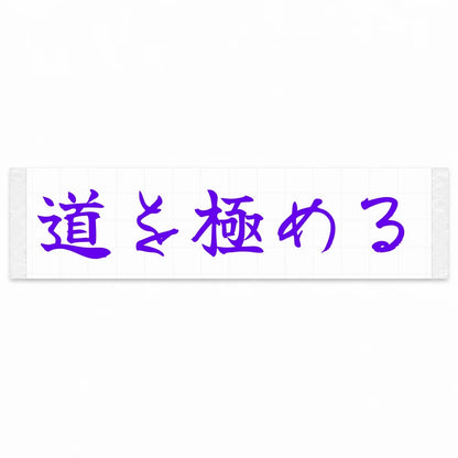 Master the Road Japanese Kanji JDM Vinyl Decal Sticker - Purple Color