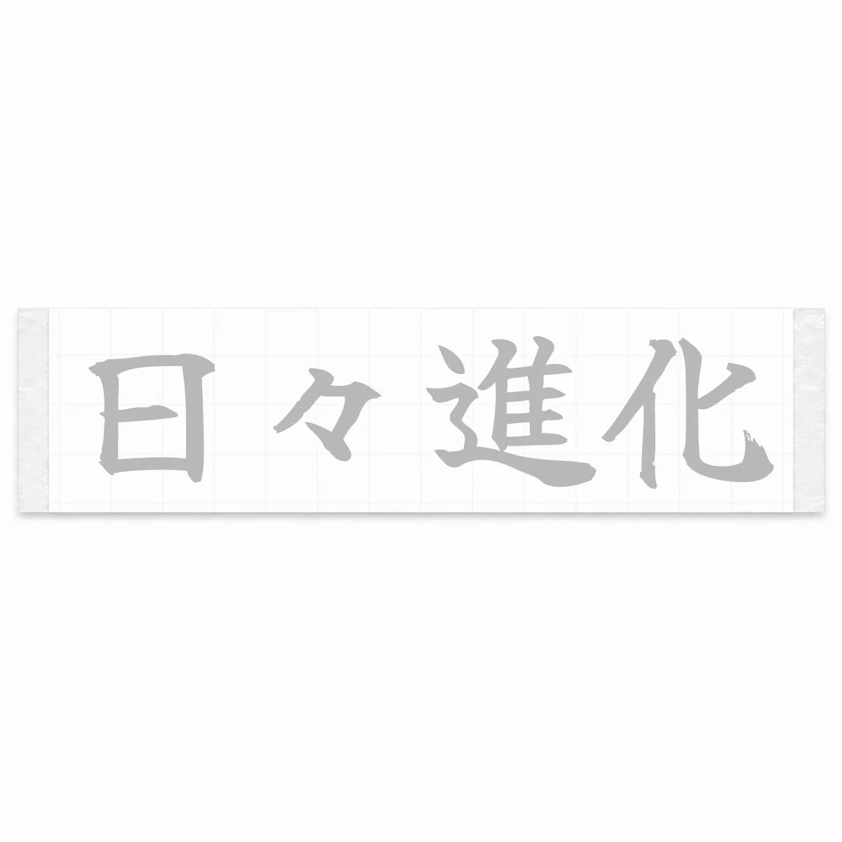 Evolving Every Day Japanese Kanji JDM Vinyl Decal Sticker - Silver Color