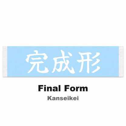 Final Form Japanese Kanji JDM Vinyl Decal Sticker - Image 2