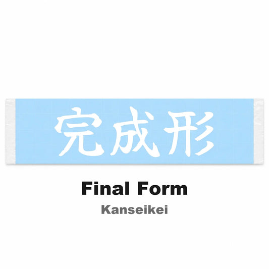Final Form Japanese Kanji JDM Vinyl Decal Sticker - Image 2