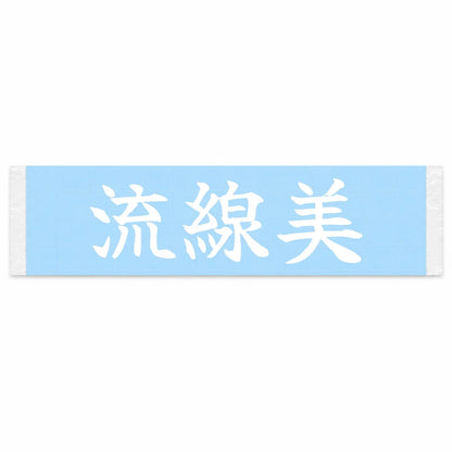 Streamlined Beauty Japanese Kanji JDM Vinyl Decal Sticker - Image 1