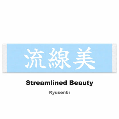 Streamlined Beauty Japanese Kanji JDM Vinyl Decal Sticker - Image 2