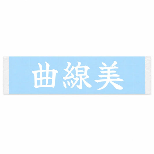 Beauty in Curves Japanese Kanji JDM Vinyl Decal Sticker - Image 1