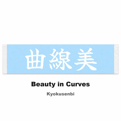 Beauty in Curves Japanese Kanji JDM Vinyl Decal Sticker - Image 2