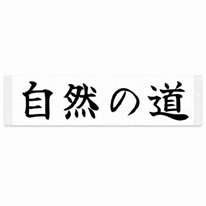 Nature's Road Japanese Kanji JDM Vinyl Decal Sticker - Black Color