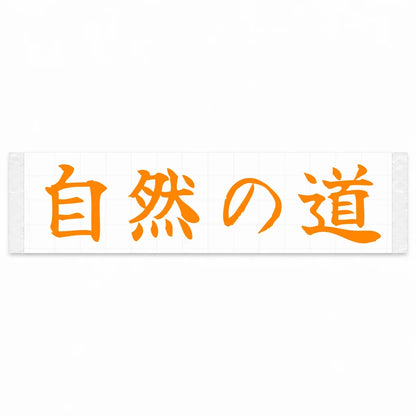 Nature's Road Japanese Kanji JDM Vinyl Decal Sticker - Orange Color