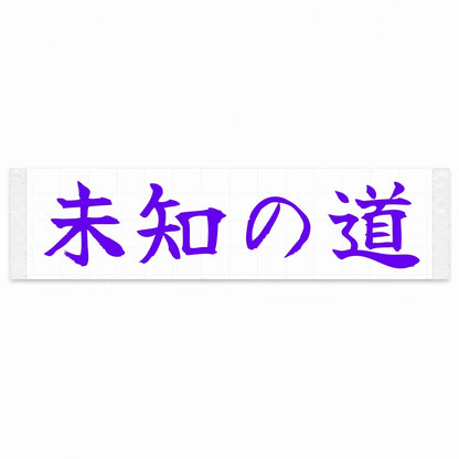 Unknown Road Japanese Kanji JDM Vinyl Decal Sticker - Purple Color