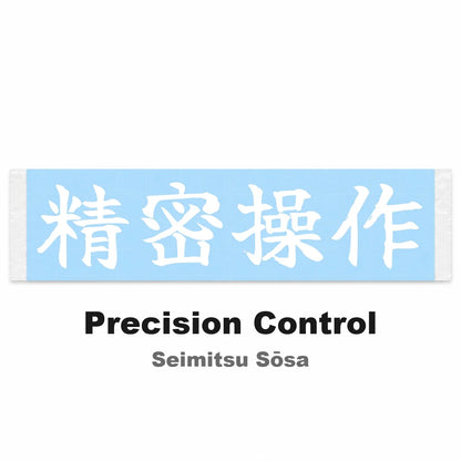 Precision Control Japanese Kanji JDM Vinyl Decal Sticker - Image 2