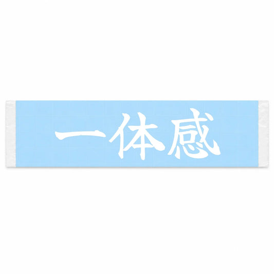 Perfect Harmony Japanese Kanji JDM Vinyl Decal Sticker - Image 1