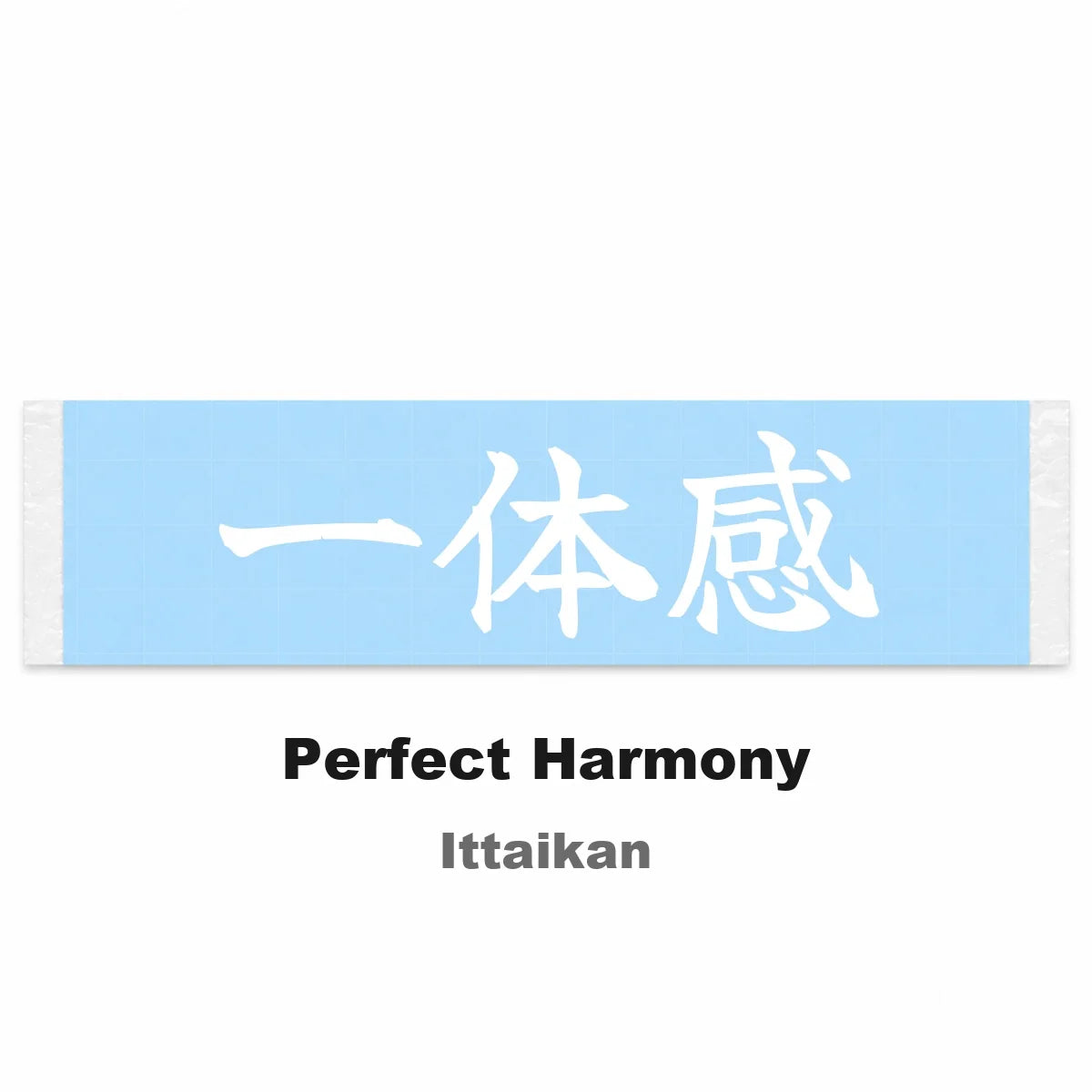Perfect Harmony Japanese Kanji JDM Vinyl Decal Sticker - Image 2