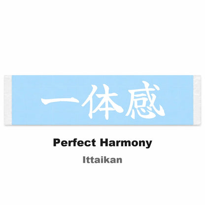 Perfect Harmony Japanese Kanji JDM Vinyl Decal Sticker - Image 2