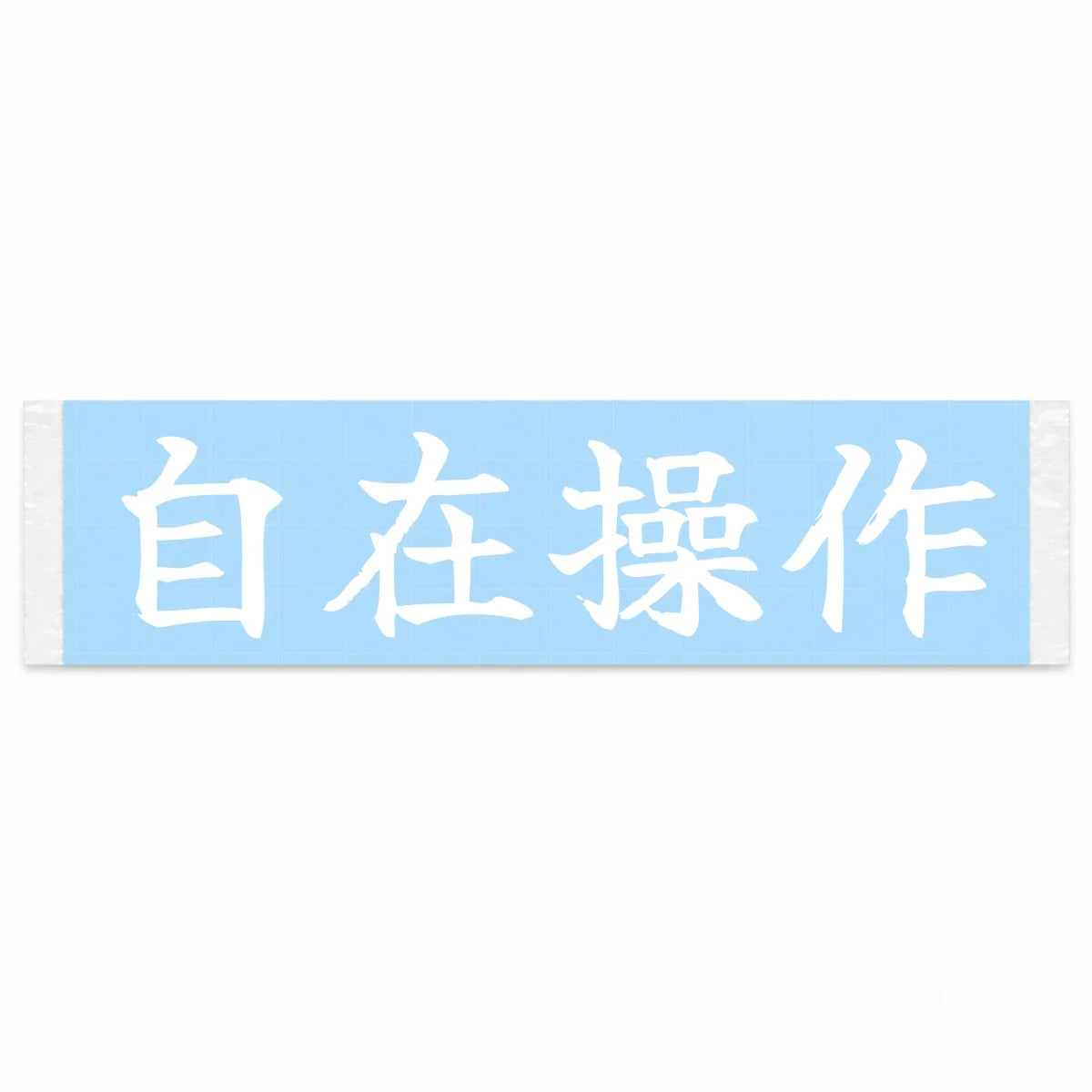 Complete Control Japanese Kanji JDM Vinyl Decal Sticker - Image 1