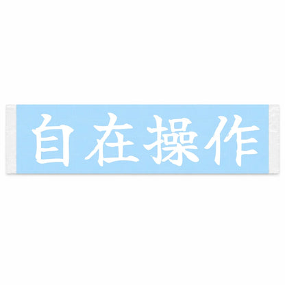 Complete Control Japanese Kanji JDM Vinyl Decal Sticker - Image 1
