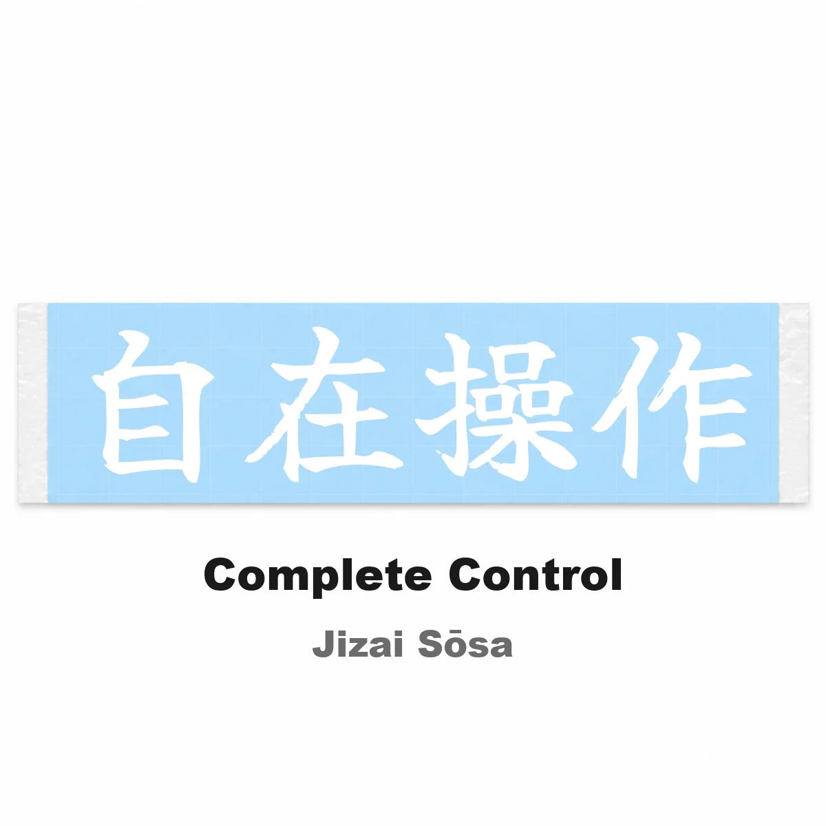 Complete Control Japanese Kanji JDM Vinyl Decal Sticker - Image 2