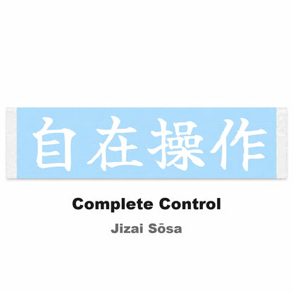 Complete Control Japanese Kanji JDM Vinyl Decal Sticker - Image 2
