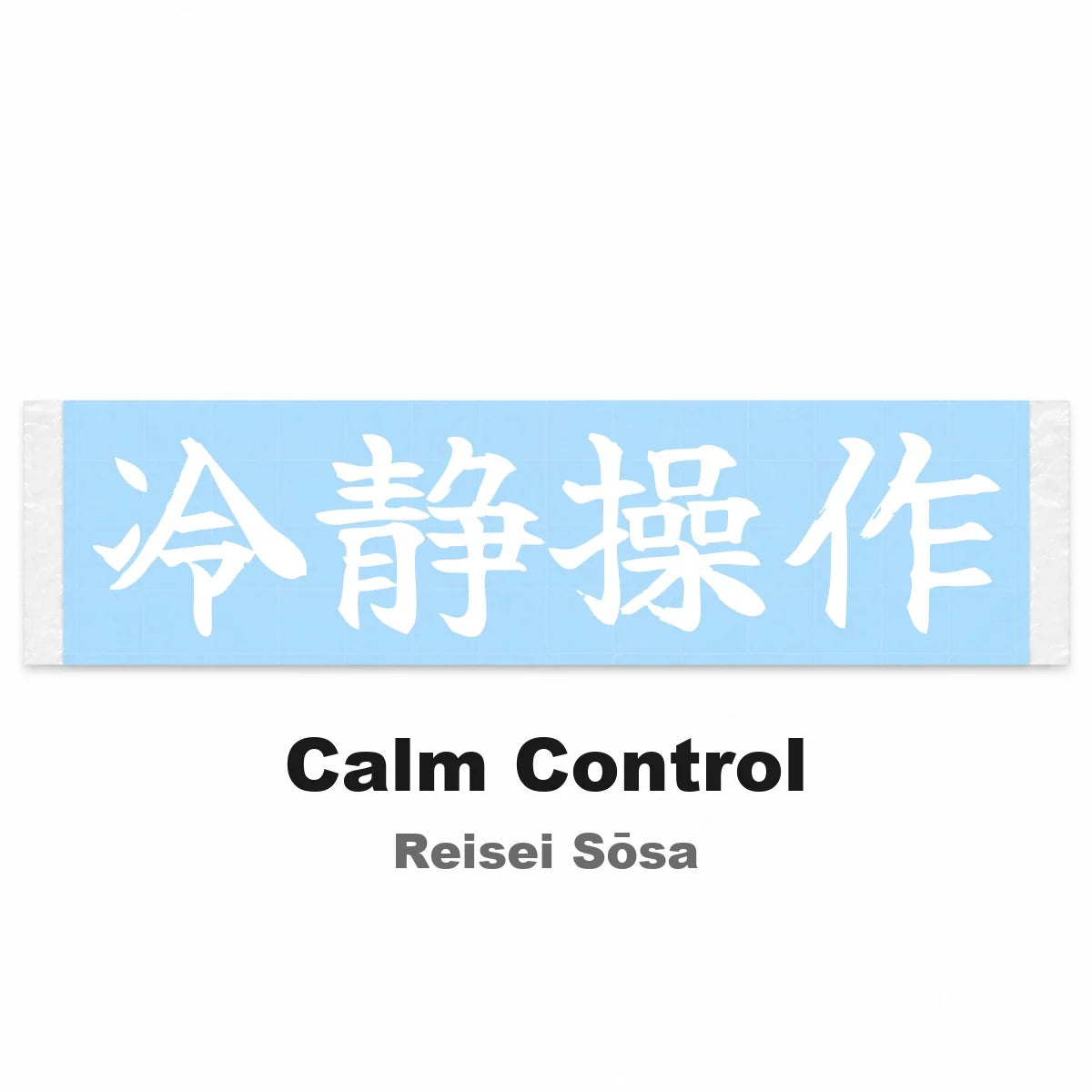 Calm Control Japanese Kanji JDM Vinyl Decal Sticker - Image 2
