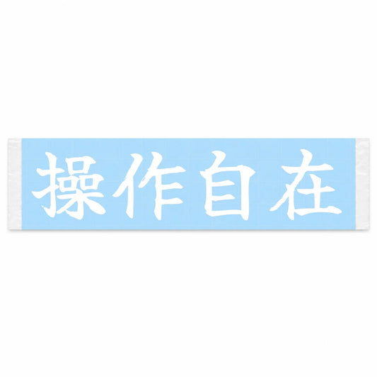 Control at Will Japanese Kanji JDM Vinyl Decal Sticker - Image 1