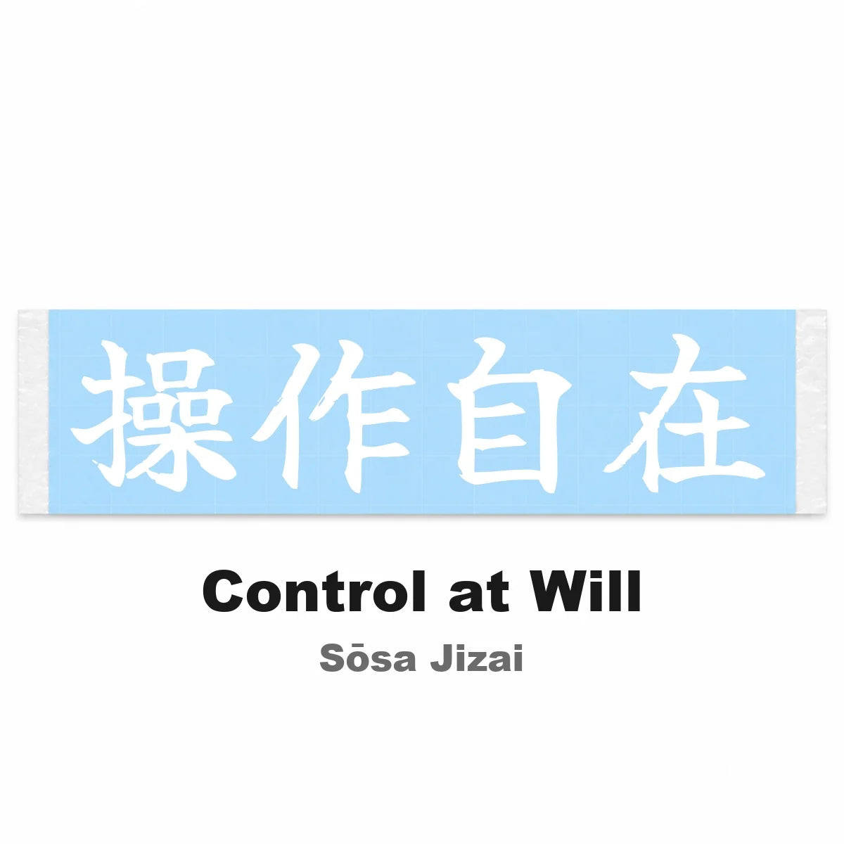 Control at Will Japanese Kanji JDM Vinyl Decal Sticker - Image 2