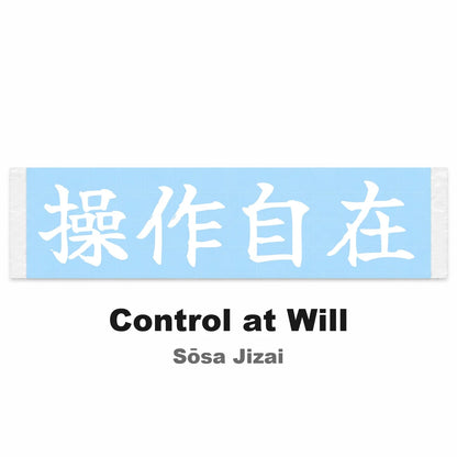 Control at Will Japanese Kanji JDM Vinyl Decal Sticker - Image 2