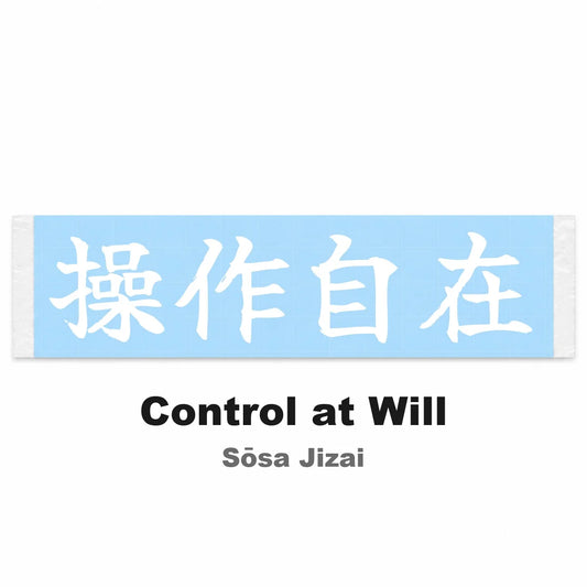 Control at Will Japanese Kanji JDM Vinyl Decal Sticker - Image 2