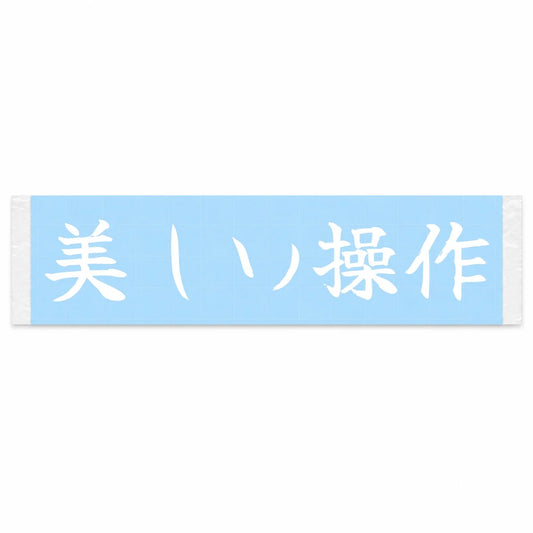 Beautiful Control Japanese Kanji JDM Vinyl Decal Sticker - Image 1