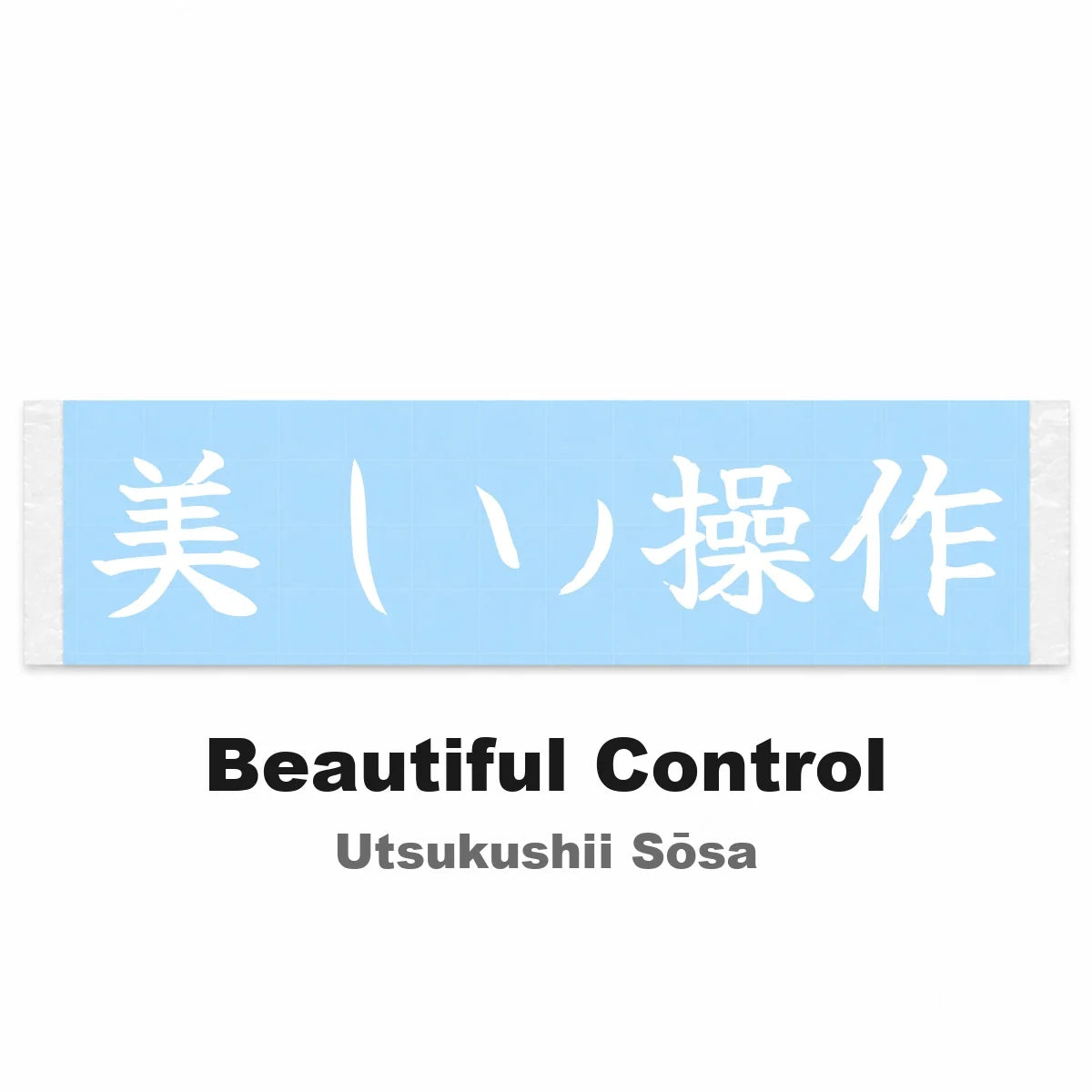 Beautiful Control Japanese Kanji JDM Vinyl Decal Sticker - Image 2