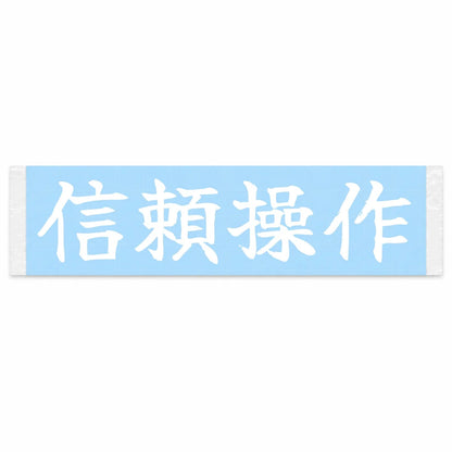 Confident Control Japanese Kanji JDM Vinyl Decal Sticker - Image 1