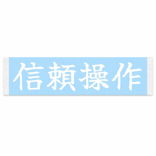 Confident Control Japanese Kanji JDM Vinyl Decal Sticker - Image 1