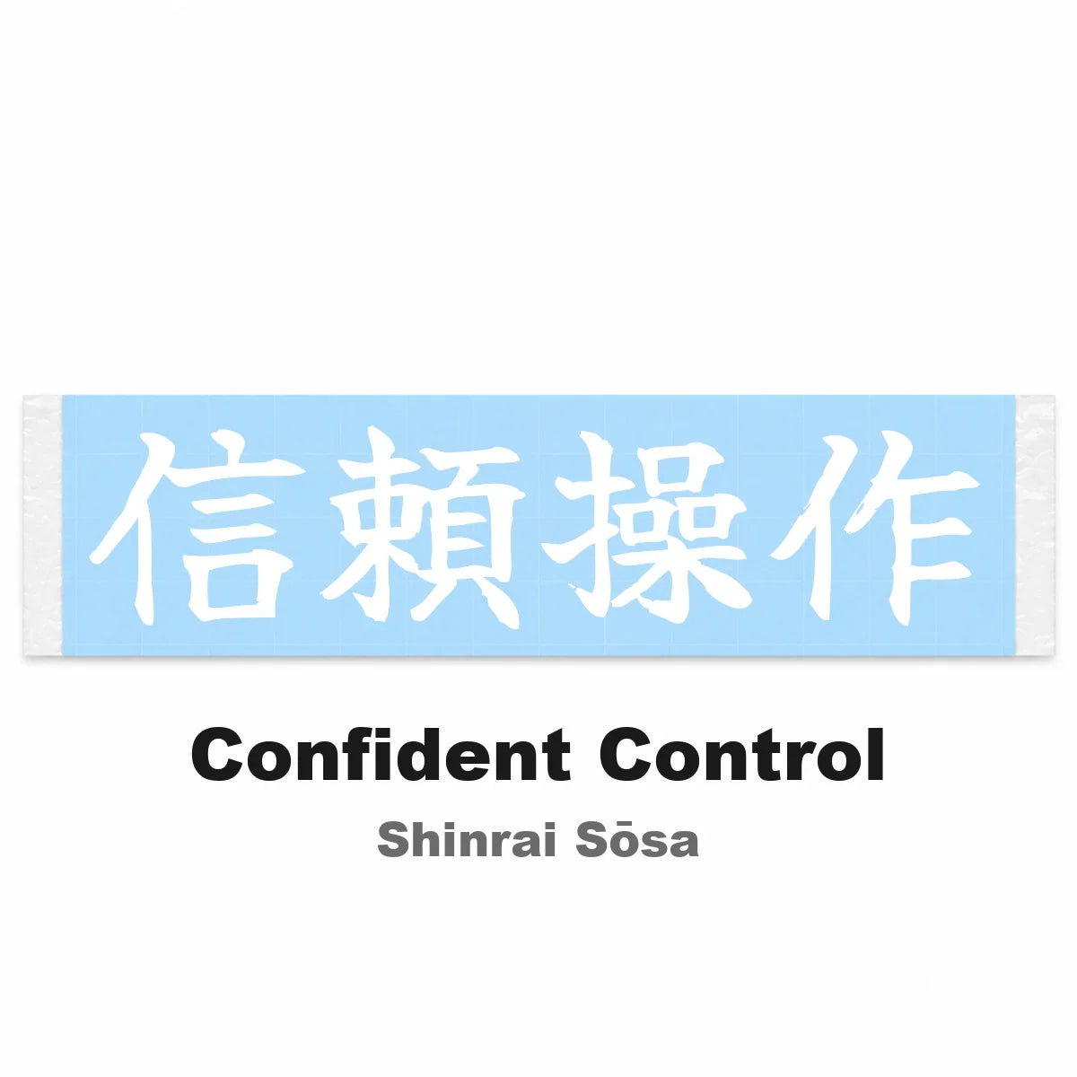 Confident Control Japanese Kanji JDM Vinyl Decal Sticker - Image 2