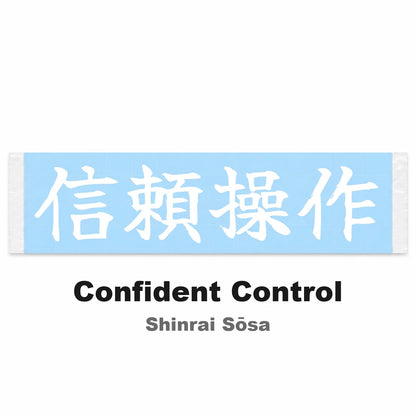 Confident Control Japanese Kanji JDM Vinyl Decal Sticker - Image 2