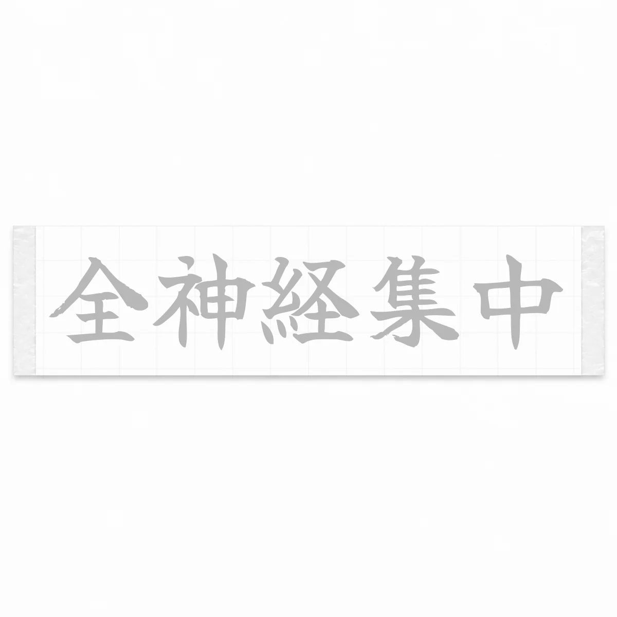 Complete Focus Japanese Kanji JDM Vinyl Decal Sticker - Silver Color