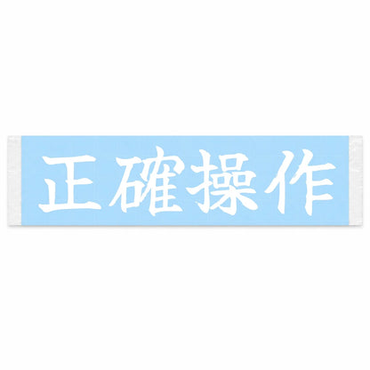 Precise Inputs Japanese Kanji JDM Vinyl Decal Sticker - Image 1