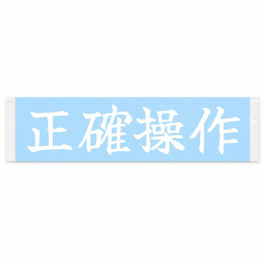Precise Inputs Japanese Kanji JDM Vinyl Decal Sticker - Image 1
