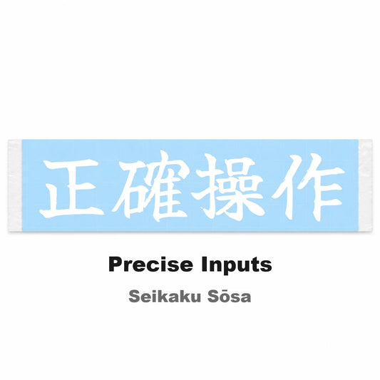 Precise Inputs Japanese Kanji JDM Vinyl Decal Sticker - Image 2