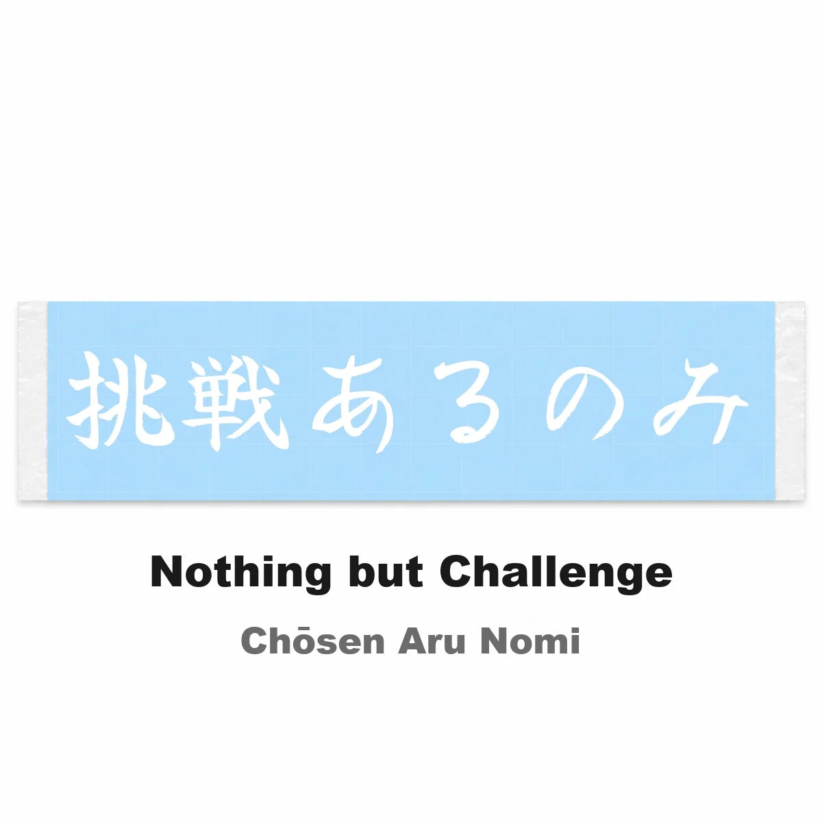 Nothing but Challenge Japanese Kanji JDM Vinyl Decal Sticker - Image 2