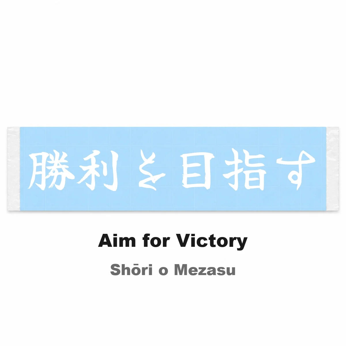 Aim for Victory Japanese Kanji JDM Vinyl Decal Sticker - Image 2